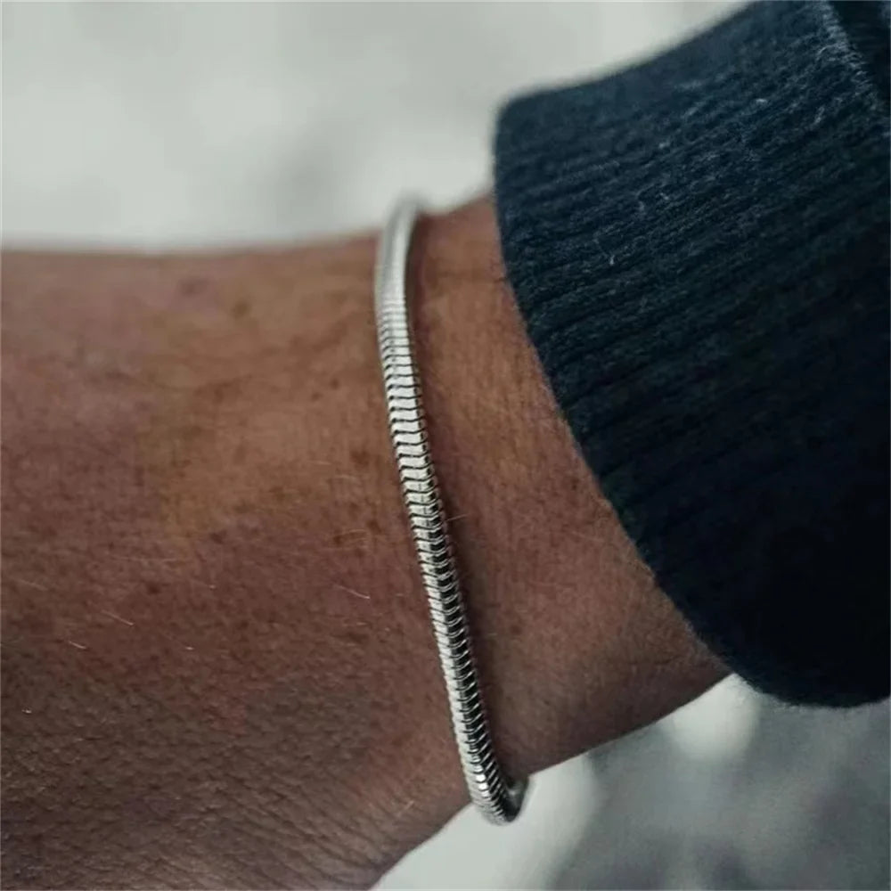 Pulseira de aço inoxidável Flat Snake Chain para homens e mulheres, cor prata, simples, Hip Hop, jóias da moda